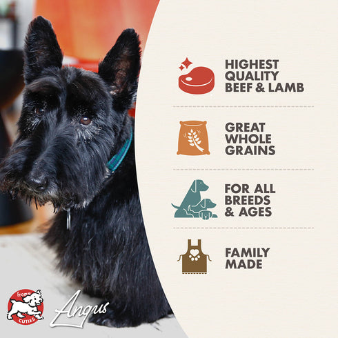 Fromm Four-Star Dry Dog Food - Highlander Beef, Oats, 'N Barley - 12lb Bag